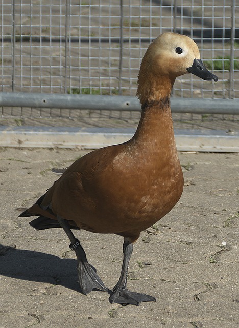 业生涯中