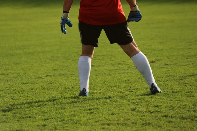 Nicol